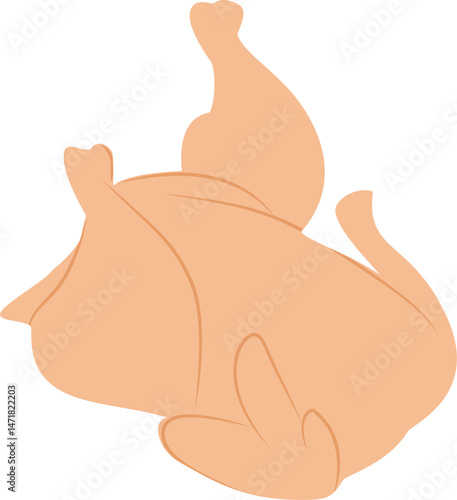 vector illustration of an raw chicken meat