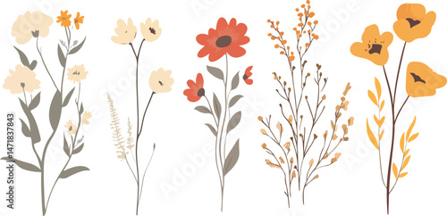 Spring flowers. Cartoon wildflowers chamomile, Seamless background Hand drawn wild floral arrangements with small flower. 