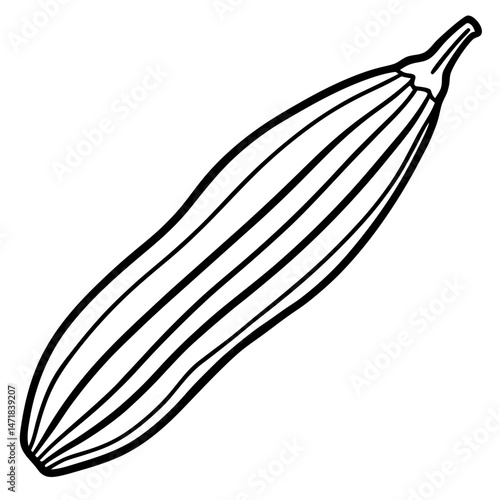 Okra outline vector