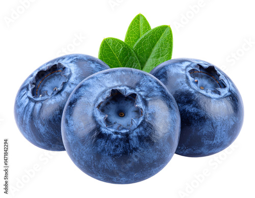Obraz na płótnie Isolated blueberries with transparent background for healthy eating and nutrition concept w salonie