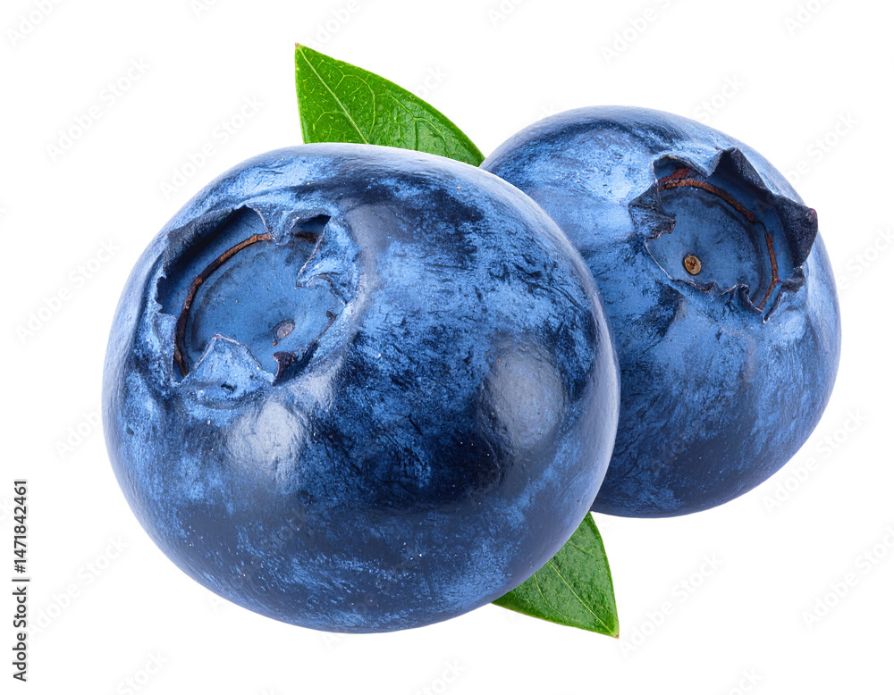 Two Fresh Blueberries with Leaf Isolated for Healthy Eating and Delicious Fruit Concepts