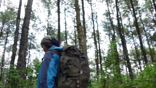 Wallpaper Mural Male hiking on a trail up in pine forest. Hiking trail walking path in wild green pine forest Torontodigital.ca