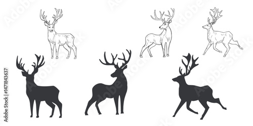 Deer hand drawn black white outline vector set illustration. Woodland animals reindeer with antlers monochrome sketch for winter and Christmas designs. Wild doe stag silhouette for seasonal cards.