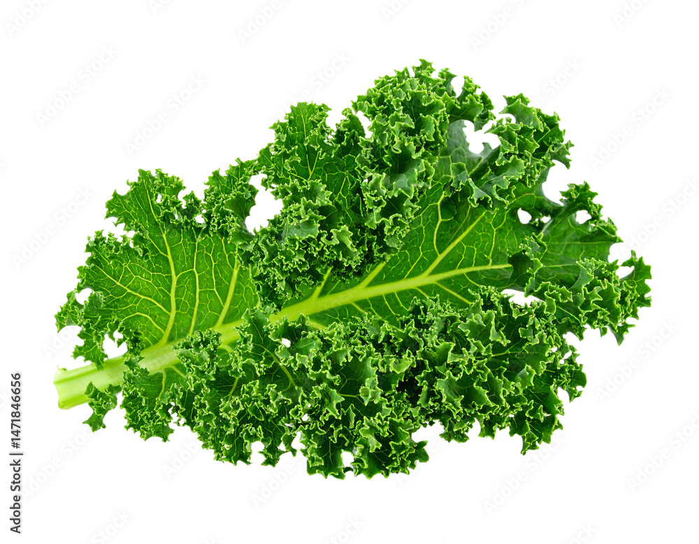 Isolated Green Kale Leaf Vegetable Fresh Food Healthy Eating Cutout Element