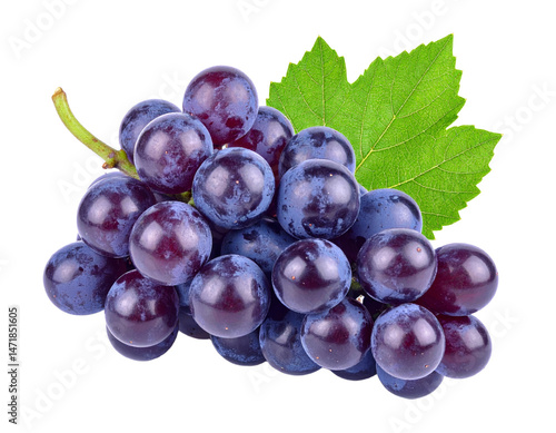 Obraz na płótnie Fresh purple grapes cluster isolated with transparent background cutout w salonie