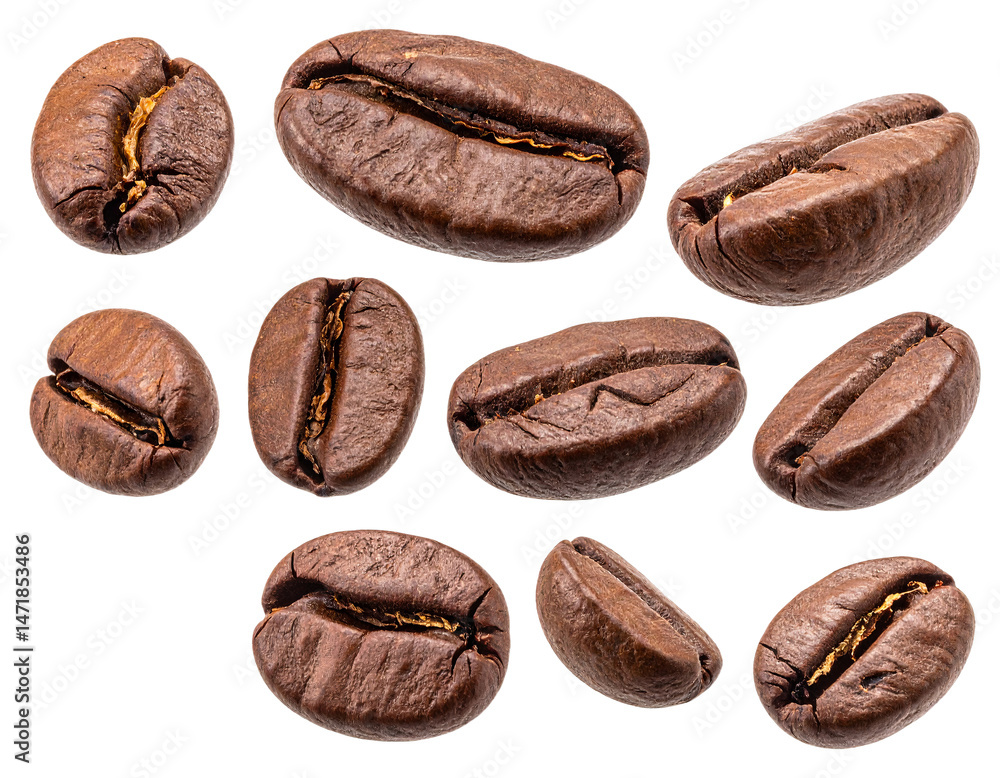 Roasted Coffee Beans Isolated on Transparent Background for Food and Beverage Concepts