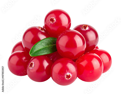 Obraz na płótnie Heap of Fresh Red Cranberries Isolated on Transparent Background Food Ingredient w salonie