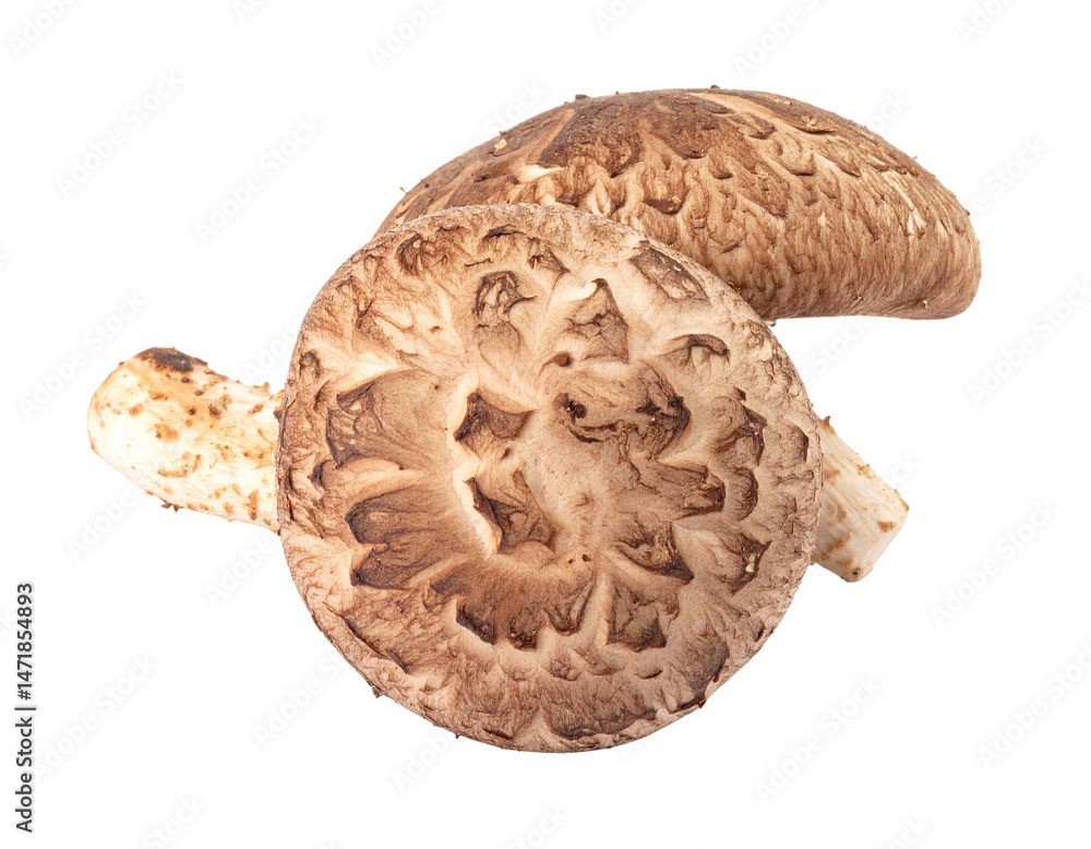 Shiitake Mushroom Isolated Culinary Ingredient Gourmet Food Source Transparent Background