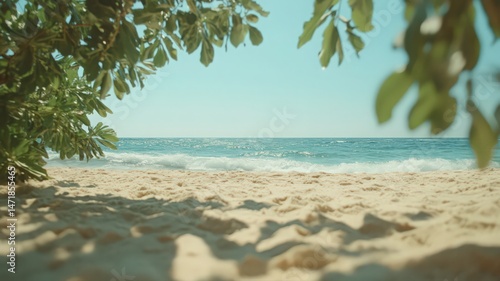 Palm Tree Shadows on a White Sand Beach
