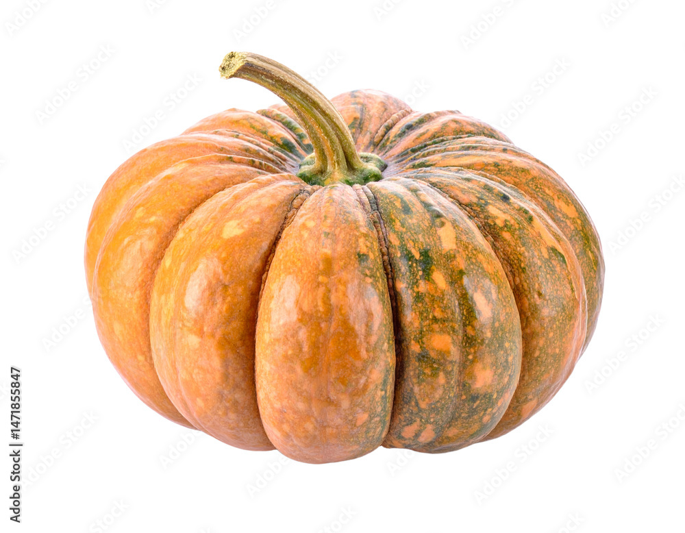 Fresh Orange Pumpkin Isolated for Autumn Harvest Halloween and Thanksgiving Theme