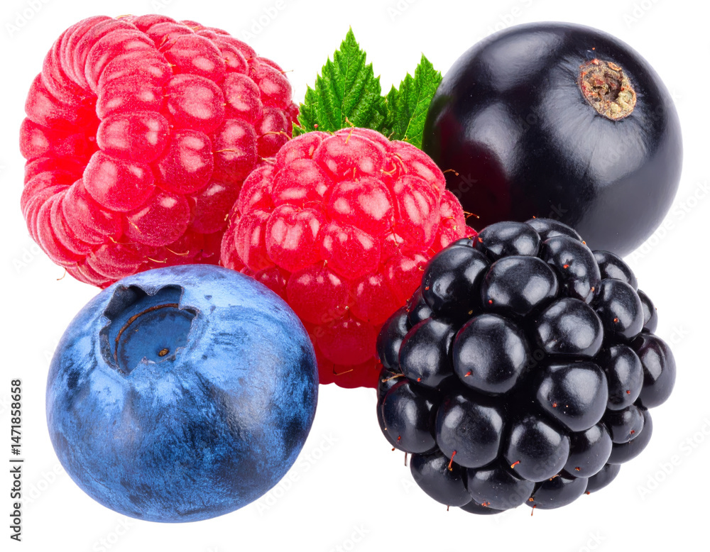 Assorted Fresh Berries Isolated Raspberry Blackberry Blueberry Currant on Transparent Background