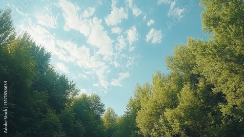 Peaceful Blue Sky with Scattered Clouds and Lush Green Treetops