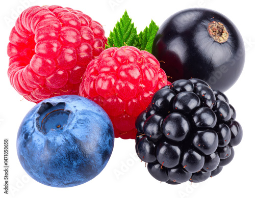 Obraz na płótnie Assorted Fresh Berries Isolated Raspberry Blackberry Blueberry Currant on Transparent Background w salonie