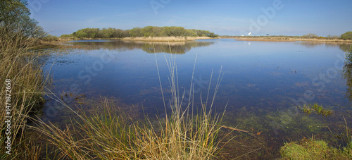 Croft Pascoe Pool, panorama, a natural pond on the Lizard Peninsula, Cornwall, UK
