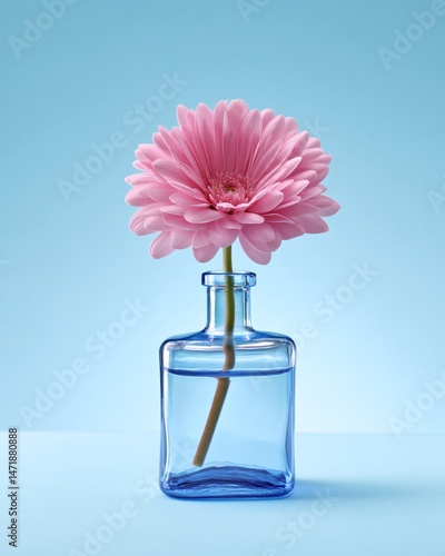 Obraz na płótnie Pink Gerbera Daisy in Blue Glass Bottle w salonie