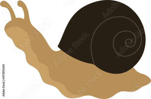 snail cartoon doodle 