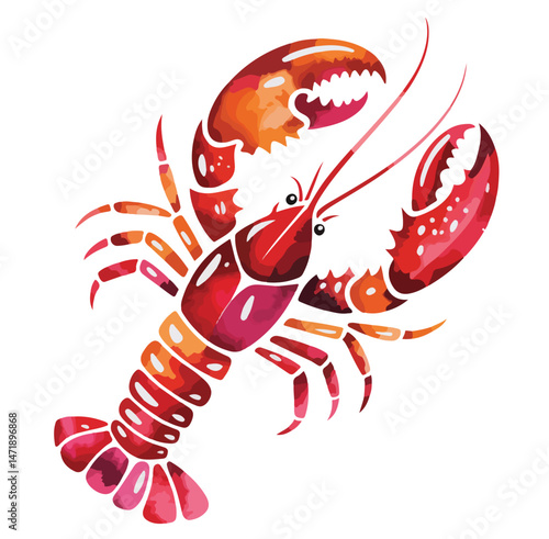 Shrimp Illustration