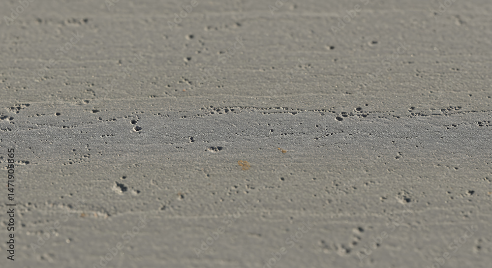 Rough Concrete Texture: Grainy Surface with Pitted Details - Urban Grunge, Raw Cement, Industrial Backdrop Rough Concrete Texture: Grainy Surface with Pitted Details - Urban Grunge, Raw Cement, Industrial Backdrop