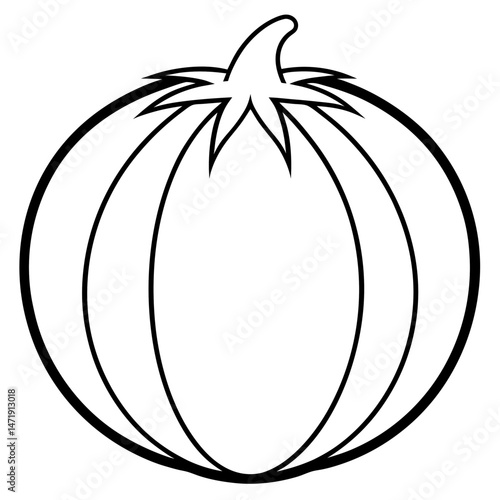 Tomatillo out line vector
