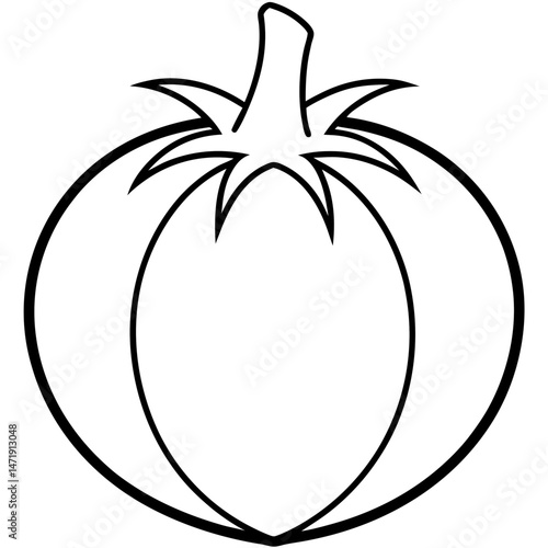 Tomatillo out line vector