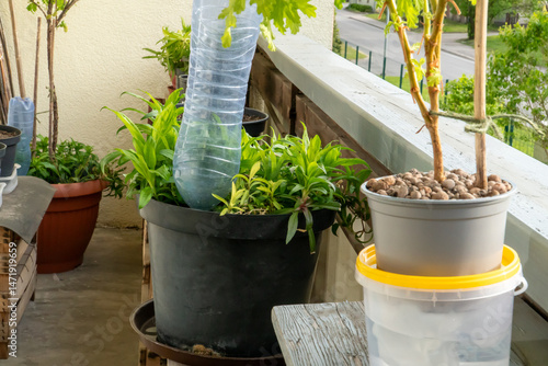 Urban balcony garden setup showing two smart watering techniques: a PET bottle for drip irrigation and a wick-fed system using fabric strips in potted plants.