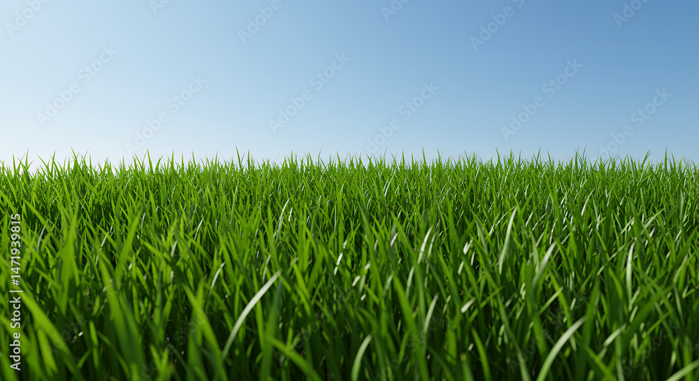 Fototapeta premium Lush Green Grass: A Serene Landscape Under a Bright Blue Sky - Nature, Outdoors, Fresh, and Peaceful.