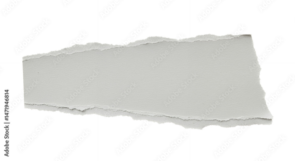 Torn Paper Texture: Isolated Fragment, Grunge Element for Design & Scrapbooking, Gray Cardboard Sheet Detail Torn Paper Texture: Isolated Fragment, Grunge Element for Design & Scrapbooking, Gray Cardboard Sheet Detail