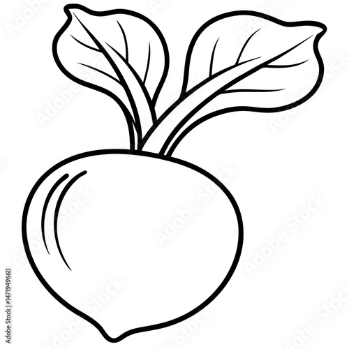 Minimalist Kohlrabi Line Art Vector