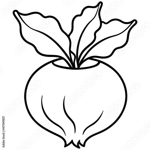 Minimalist Kohlrabi Line Art Vector
