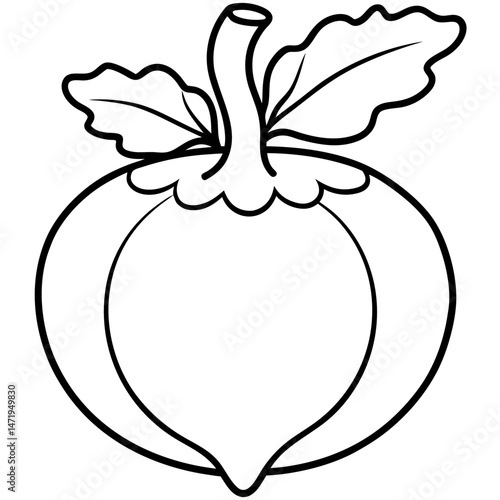 Minimalist Kohlrabi Line Art Vector