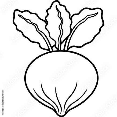 Minimalist Kohlrabi Line Art Vector