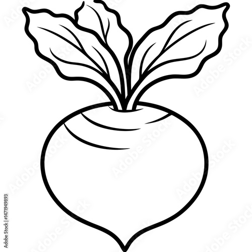 Minimalist Kohlrabi Line Art Vector