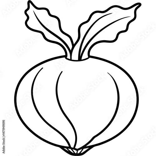 Minimalist Kohlrabi Line Art Vector