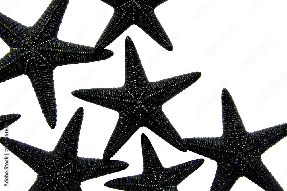 Close-up of multiple black starfish on a transparent background Close-up of multiple black starfish on a transparent background