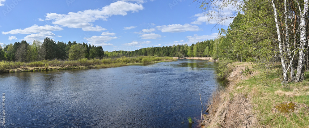 Obraz premium Meshchersky National Park.