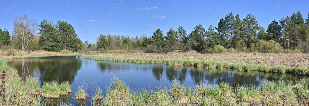 Fototapeta premium Meshchersky National Park.