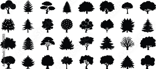Various deciduous tree silhouettes on white background. vector set. PNG on white background