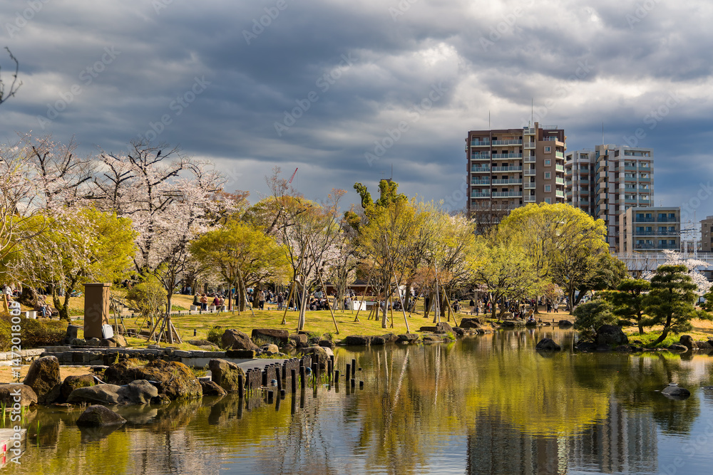 Obraz premium People enjoying a Japanese park with pond, cherry trees, under a dramatic cloudy sky.