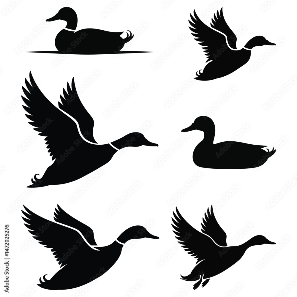 Fototapeta premium silhouettes of birds