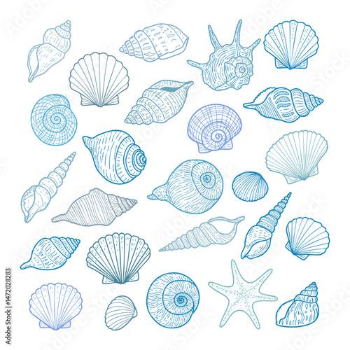Hand Drawn Seashell Doodle Vector Collection – Simple Coastal Shell Illustration Set, Beach, Ocean, Sea Life, Minimal Nautical Line Art for Summer and Marine-Themed Designs