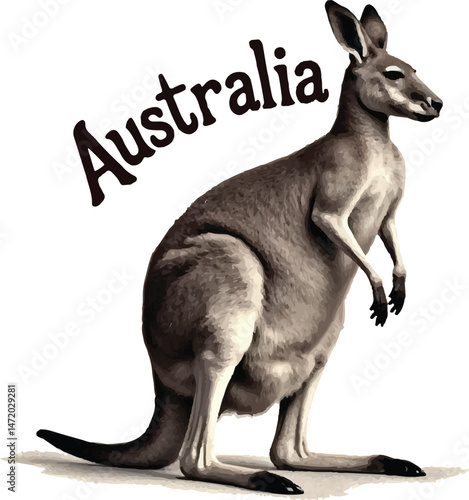 Kangaroo icon for australia