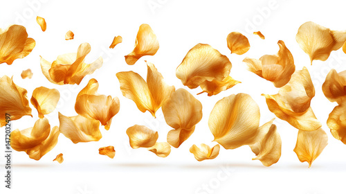 Rose petals floating in air