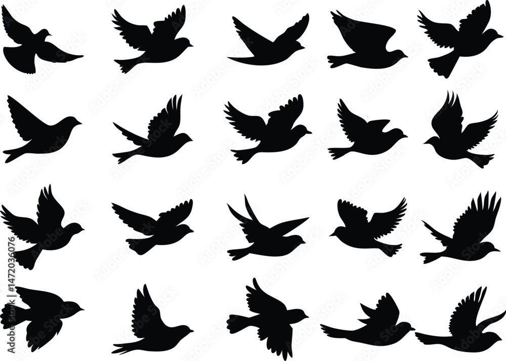 Fototapeta premium Collection of flying birds on white background. vector set. PNG white background 