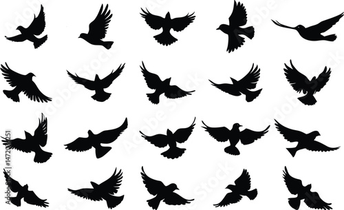 Collection of flying birds on white background. vector set. PNG white background
