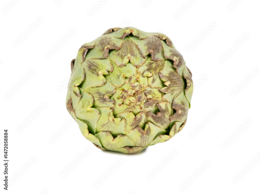 Fototapeta premium Raw Vegetable Artichoke Close-Up Isolated On White Background
