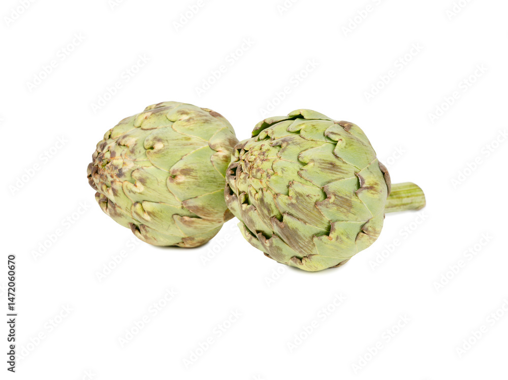 Obraz premium Two raw artichoke vegetables on a white background