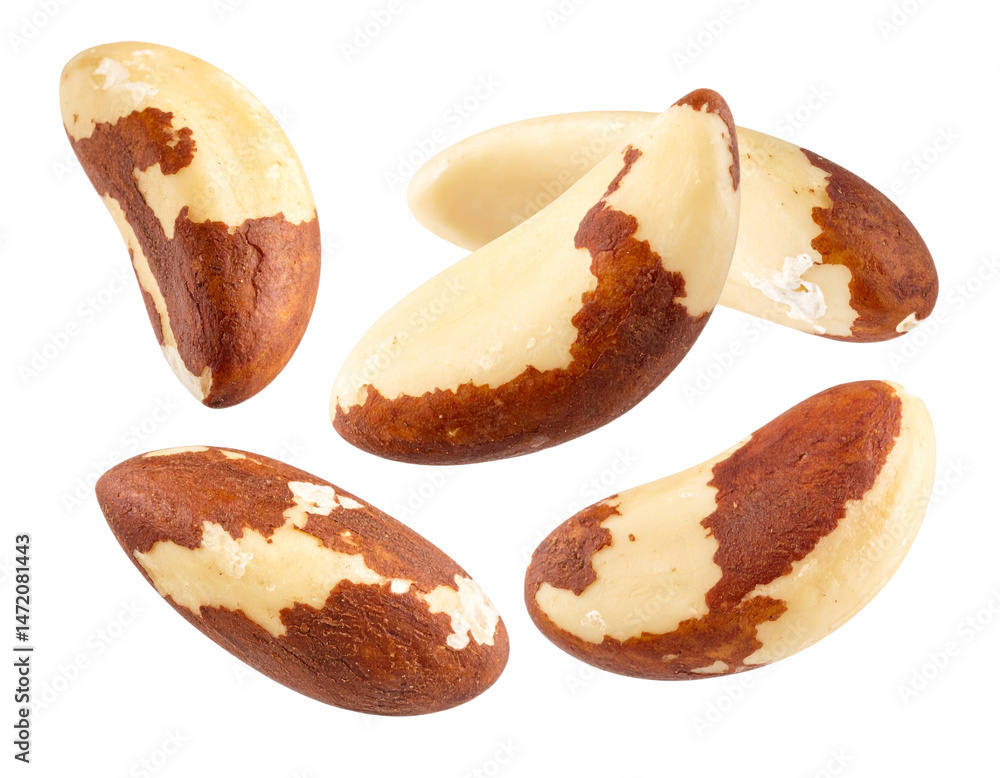 Brazil Nut Isolated on Transparent Background Healthy Food Ingredient Source of Selenium