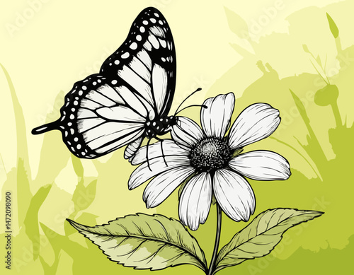 Wallpaper Mural Black and white butterfly hovering over a flower on green background   Torontodigital.ca