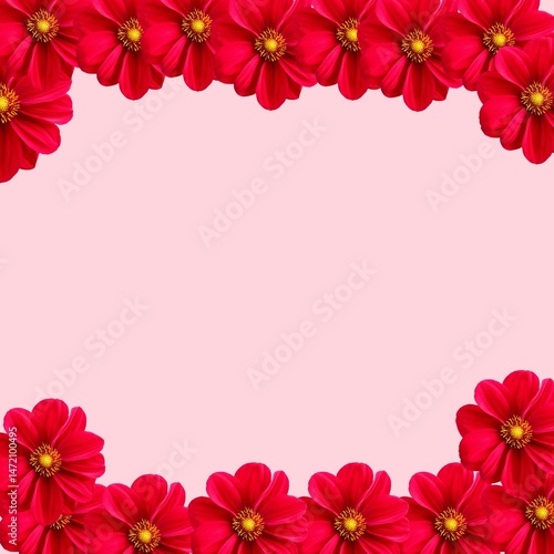 Red frame flower background