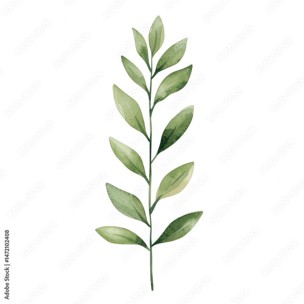 Obraz premium Elegant green leaf branch perfect for nature-themed designs, botanical prints, or eco-friendly projects, isolated on a clean white background for versatile use.